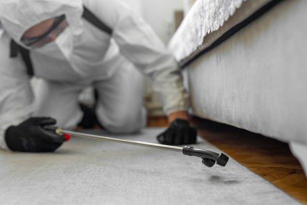 Professional Termite Control technician working in Bayshore, NC